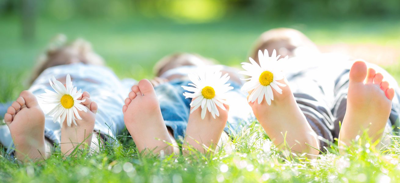 Children Harmony Patch Dr Loo Natural Remedy Herbal Ingredients Healing Medicine Health Plant